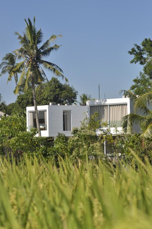 Villa Ashoka Canggu Экстерьер фото